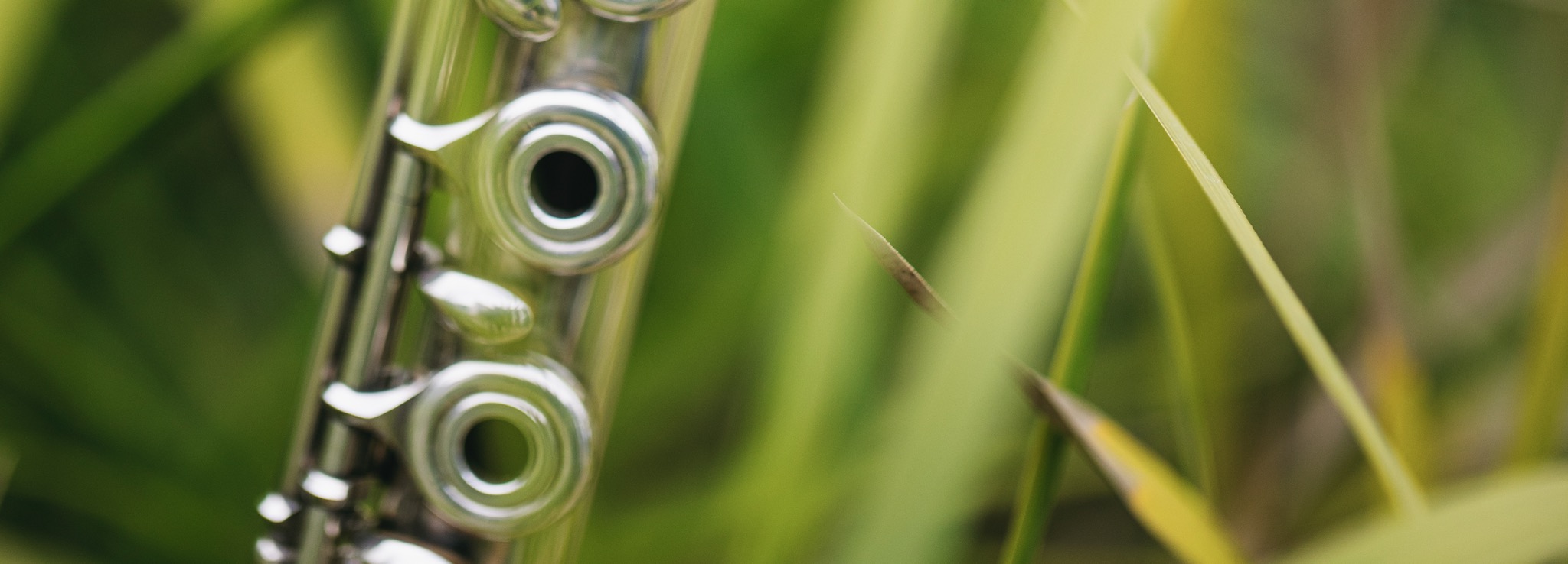 Sonido